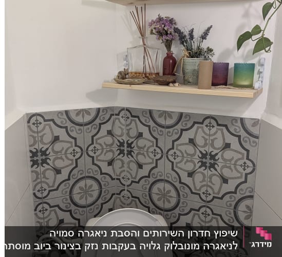 שירותים עם מדף, נייר טואלט וצמחים
